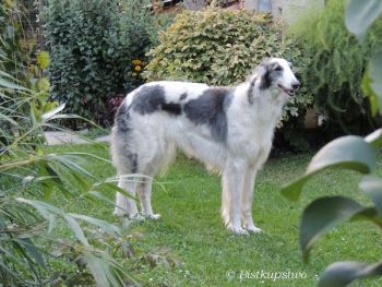 Křídlovka Bistkupstwo